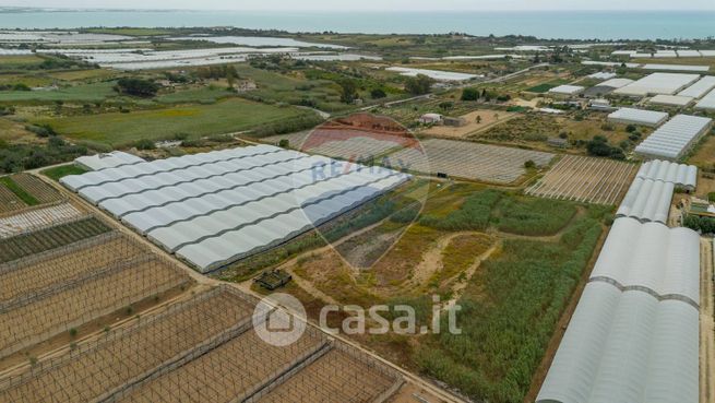 Terreno agricolo in commerciale in Via del Gorgo Salato