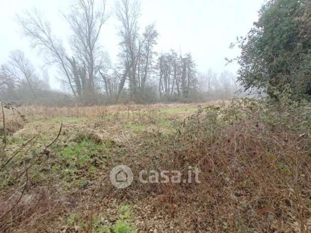 Terreno agricolo in commerciale in Via Rachele Tognana