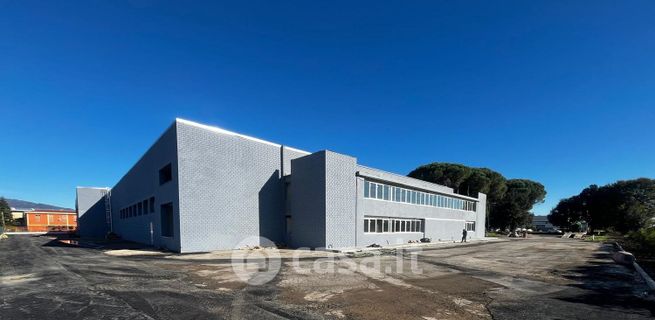 Capannone in commerciale in Via Leccio