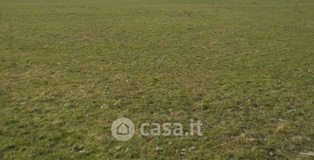 Terreno agricolo in commerciale in Strada Santa Fecitola