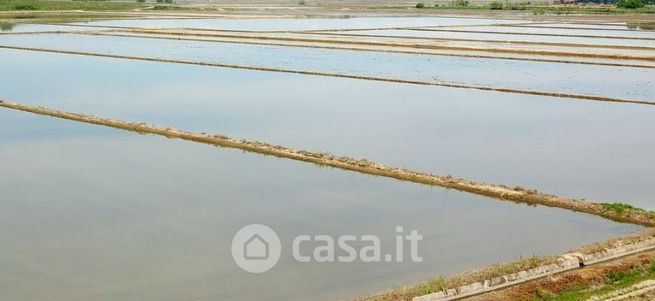 Terreno agricolo in commerciale in Via Trino 648