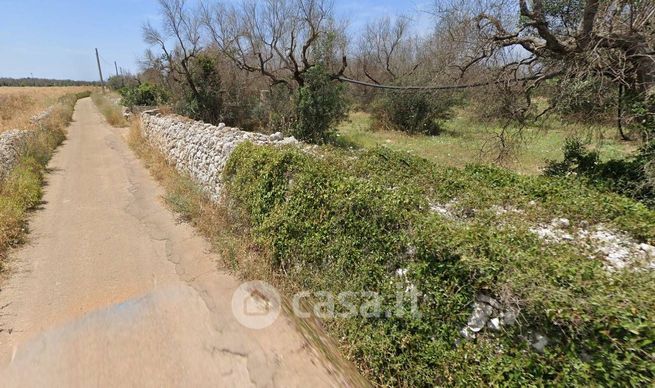 Terreno agricolo in commerciale in Strada senza nome