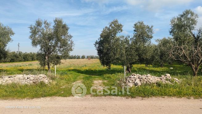 Terreno agricolo in commerciale in Strada Esterna Boccotero