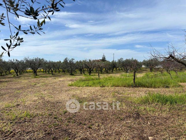 Terreno agricolo in commerciale in Via Ferdinando Magellano