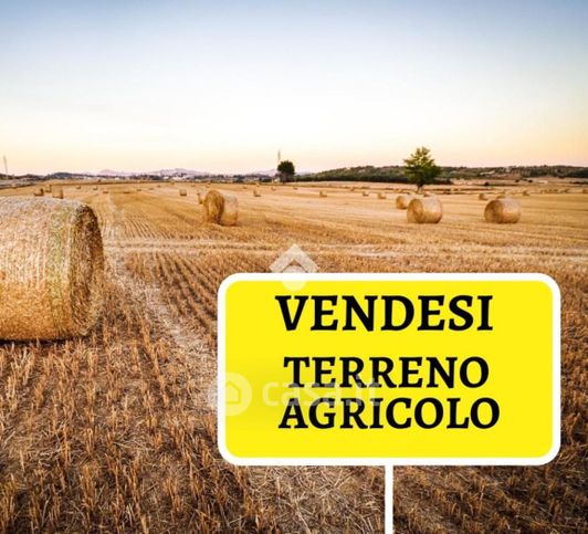 Terreno agricolo in commerciale in Strada di Riva presso Chieri 1