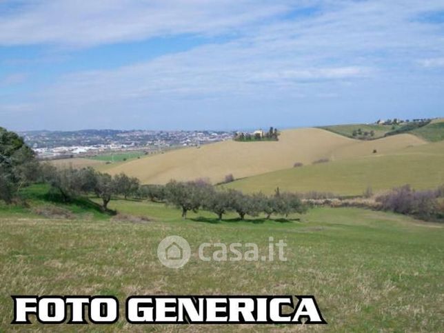 Terreno agricolo in commerciale in Via Montegrappa