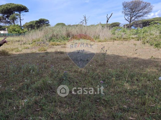 Terreno agricolo in commerciale in 