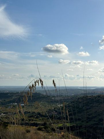 Terreno agricolo in commerciale in Contrada Bochini