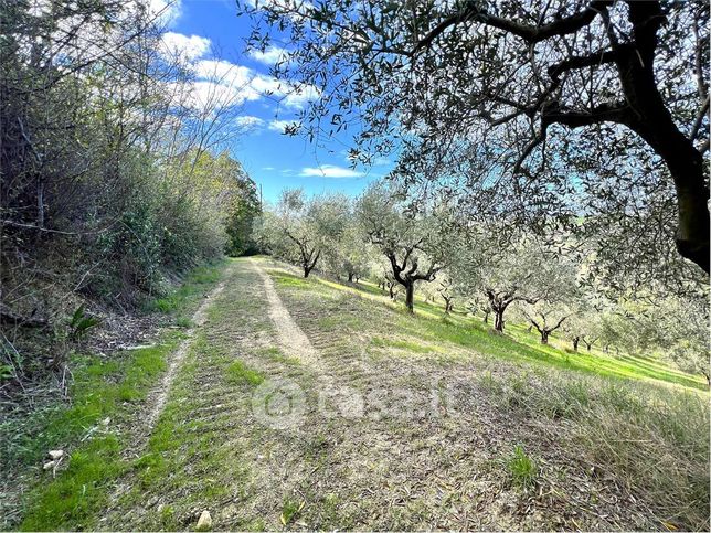 Terreno agricolo in commerciale in 