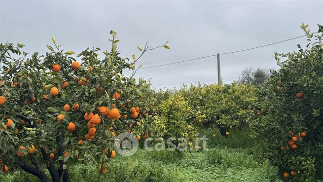 Terreno agricolo in commerciale in 