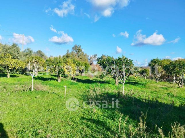 Terreno agricolo in commerciale in Circonvallazione Nord