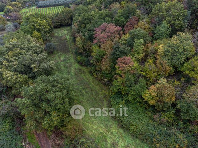 Terreno agricolo in commerciale in Via del lago