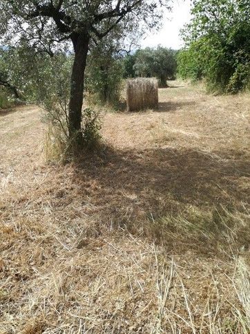 Terreno agricolo in commerciale in 