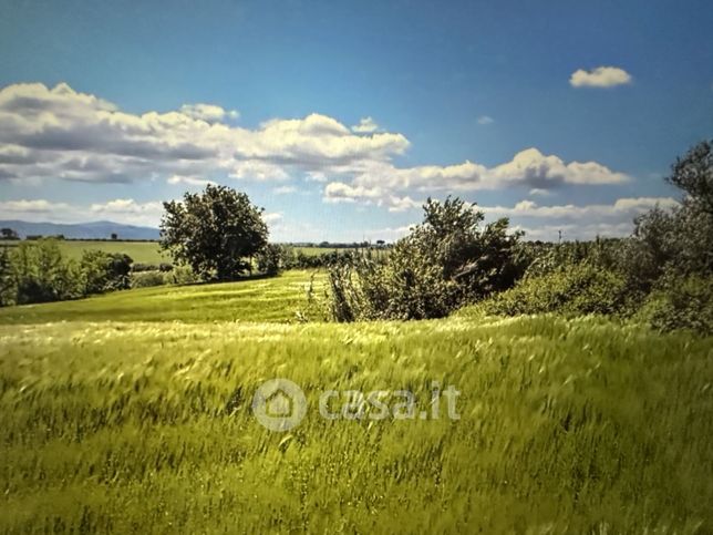 Terreno agricolo in commerciale in Strada Regionale 454