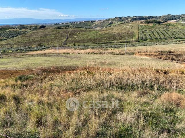 Terreno agricolo in commerciale in Cardusa