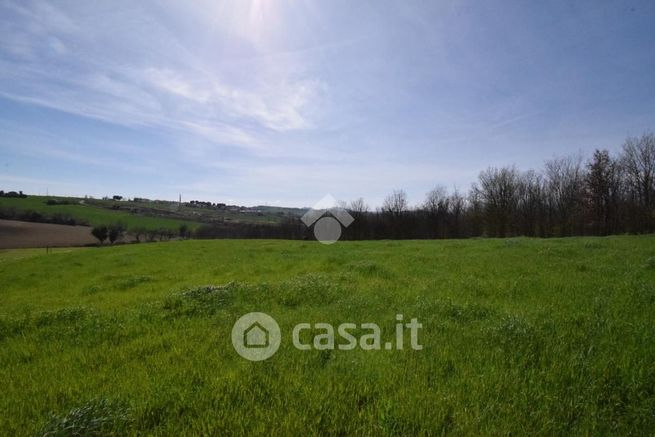 Terreno agricolo in commerciale in Viale Todi