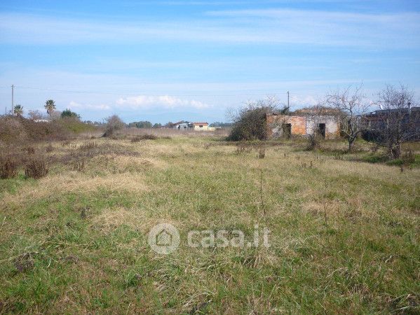 Terreno agricolo in commerciale in Via delle Grugnole 51