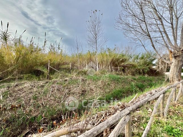 Terreno agricolo in commerciale in Via San Felice Circeo