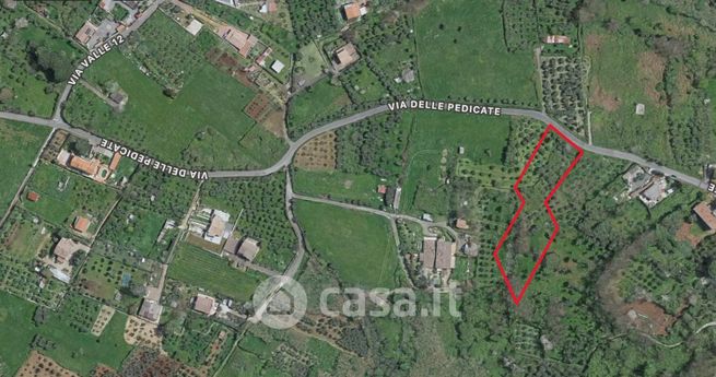 Terreno agricolo in commerciale in Via delle Pedicate 101