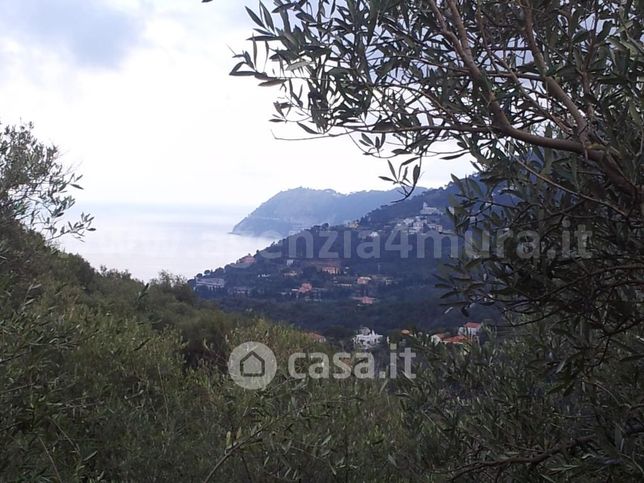 Terreno agricolo in commerciale in 