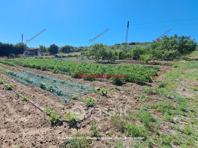 Terreno agricolo in commerciale in Strada Statale 113 Settentrionale Sicula