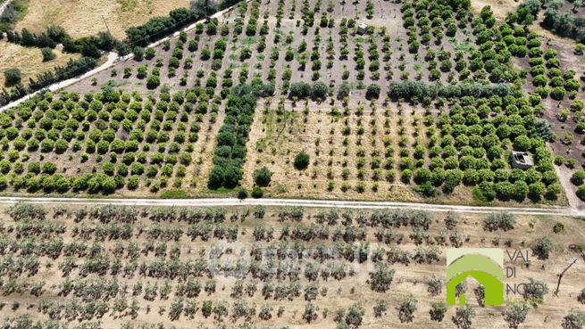 Terreno agricolo in commerciale in Contrada Roveto