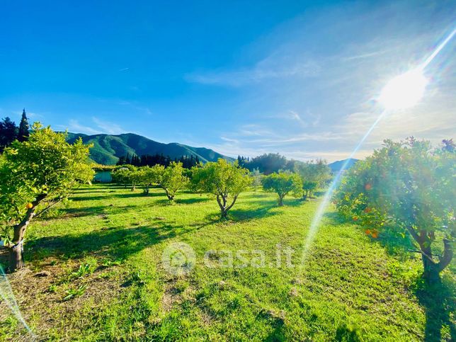 Terreno agricolo in commerciale in Loc. Sa Mitza