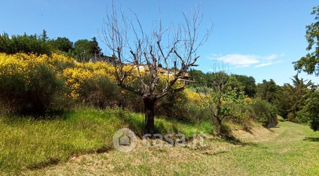 Terreno agricolo in commerciale in