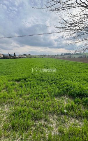 Terreno agricolo in commerciale in Via Luigi Einaudi 30