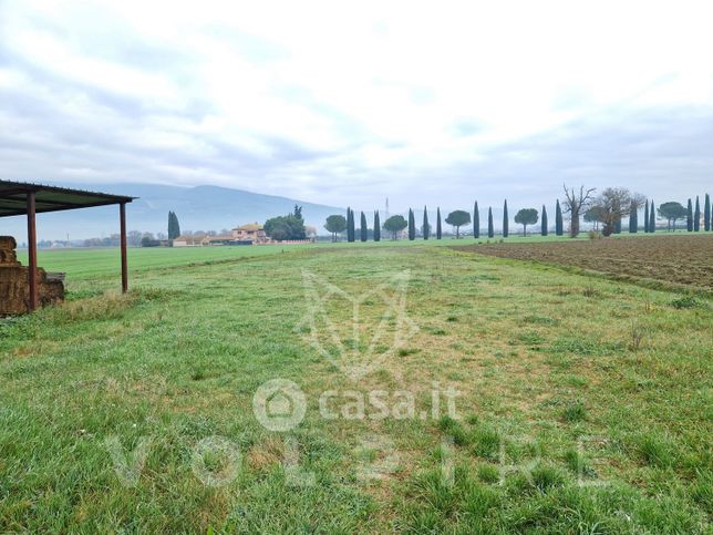 Terreno agricolo in commerciale in Via Crocifisso