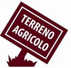 Terreno agricolo in commerciale in Strada Alessandria