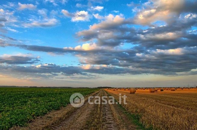 Terreno agricolo in commerciale in Via del Ponte