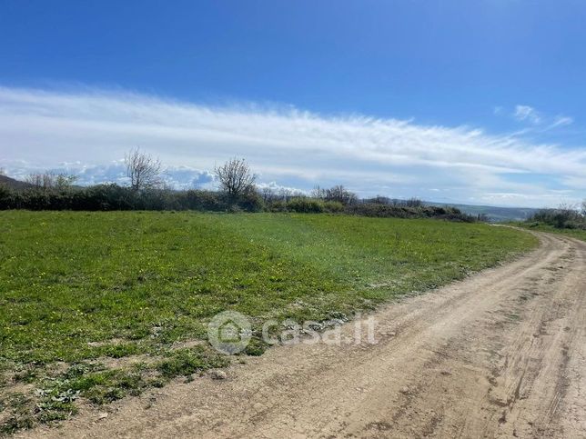 Terreno agricolo in commerciale in Via della Madonnella