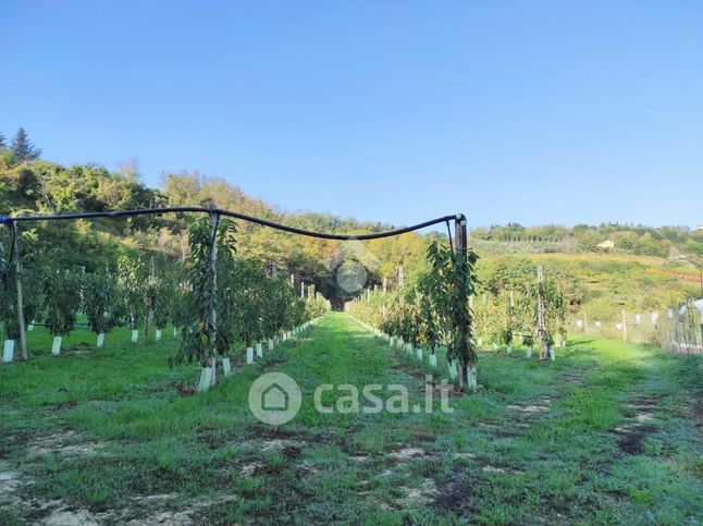 Terreno agricolo in commerciale in Via Casale