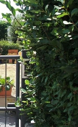 Appartamento in residenziale in Via Casolese