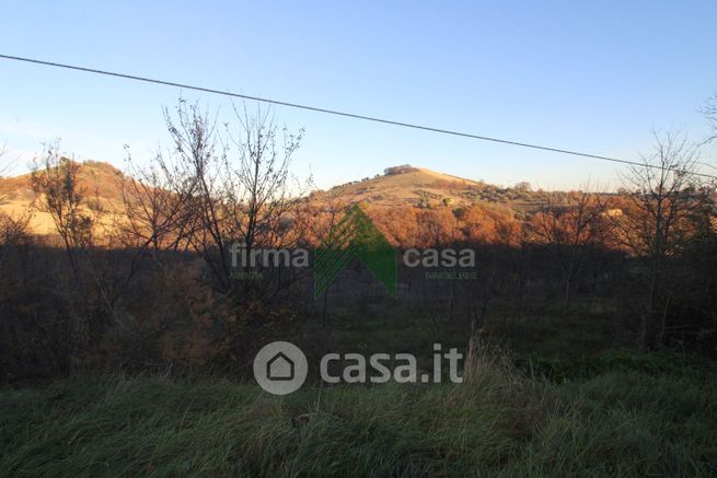 Terreno agricolo in commerciale in Strada Provinciale 16