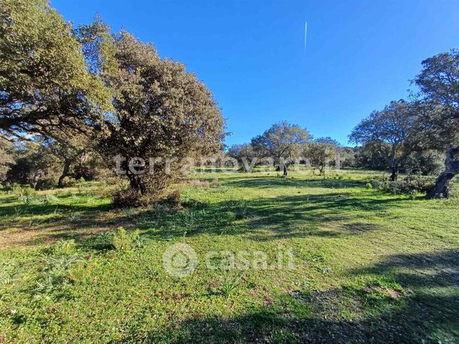 Terreno agricolo in commerciale in Via Li Furreddi