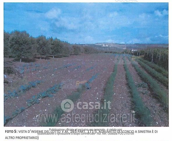Terreno agricolo in commerciale in Contrada Ragana