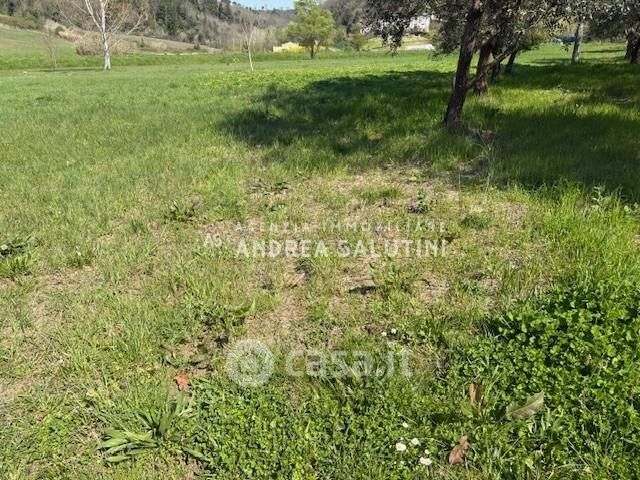 Terreno agricolo in commerciale in Via Bucale