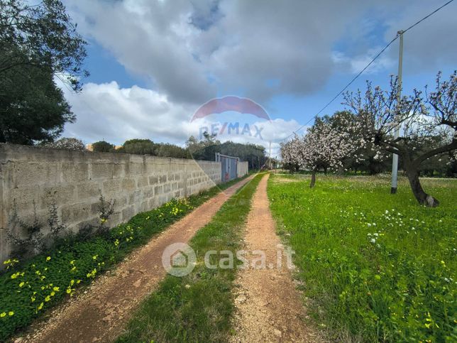 Terreno agricolo in commerciale in 