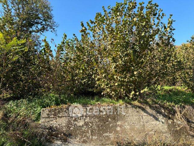 Terreno agricolo in commerciale in FIGLIOLI