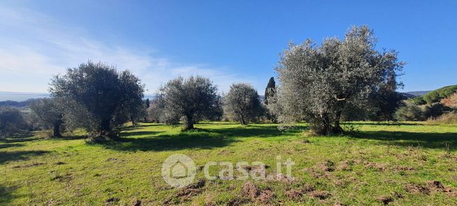 Terreno agricolo in commerciale in 