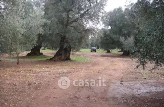 Terreno edificabile in residenziale in Strada Provinciale 28