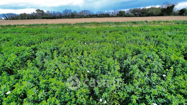 Terreno agricolo in commerciale in Via Aldo Moro