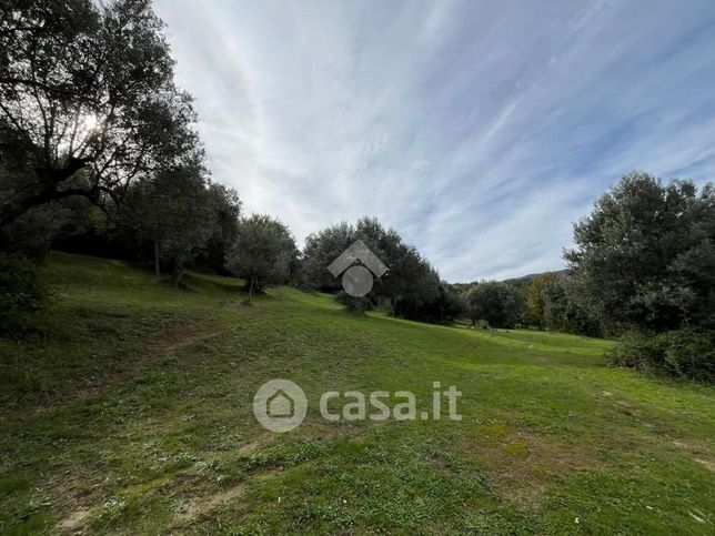 Terreno edificabile in residenziale in Contrada Frattini 3311