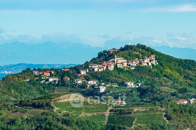 Terreno agricolo in commerciale in Strada Provinciale 168