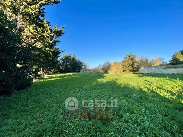 Terreno agricolo in commerciale in Via Polveroni