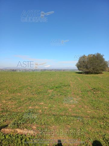 Terreno agricolo in commerciale in Contrada Soccorso