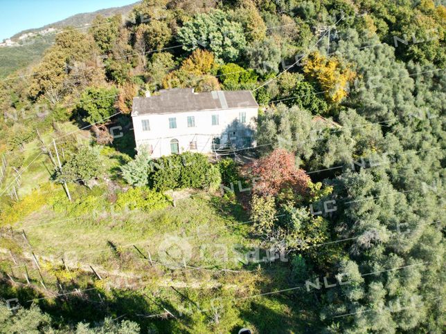 Casa indipendente in residenziale in Via Barassi 24