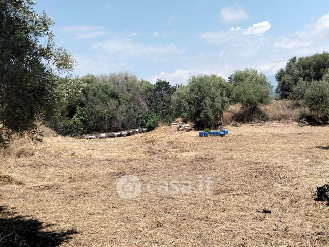 Terreno agricolo in commerciale in Via Ficarelli